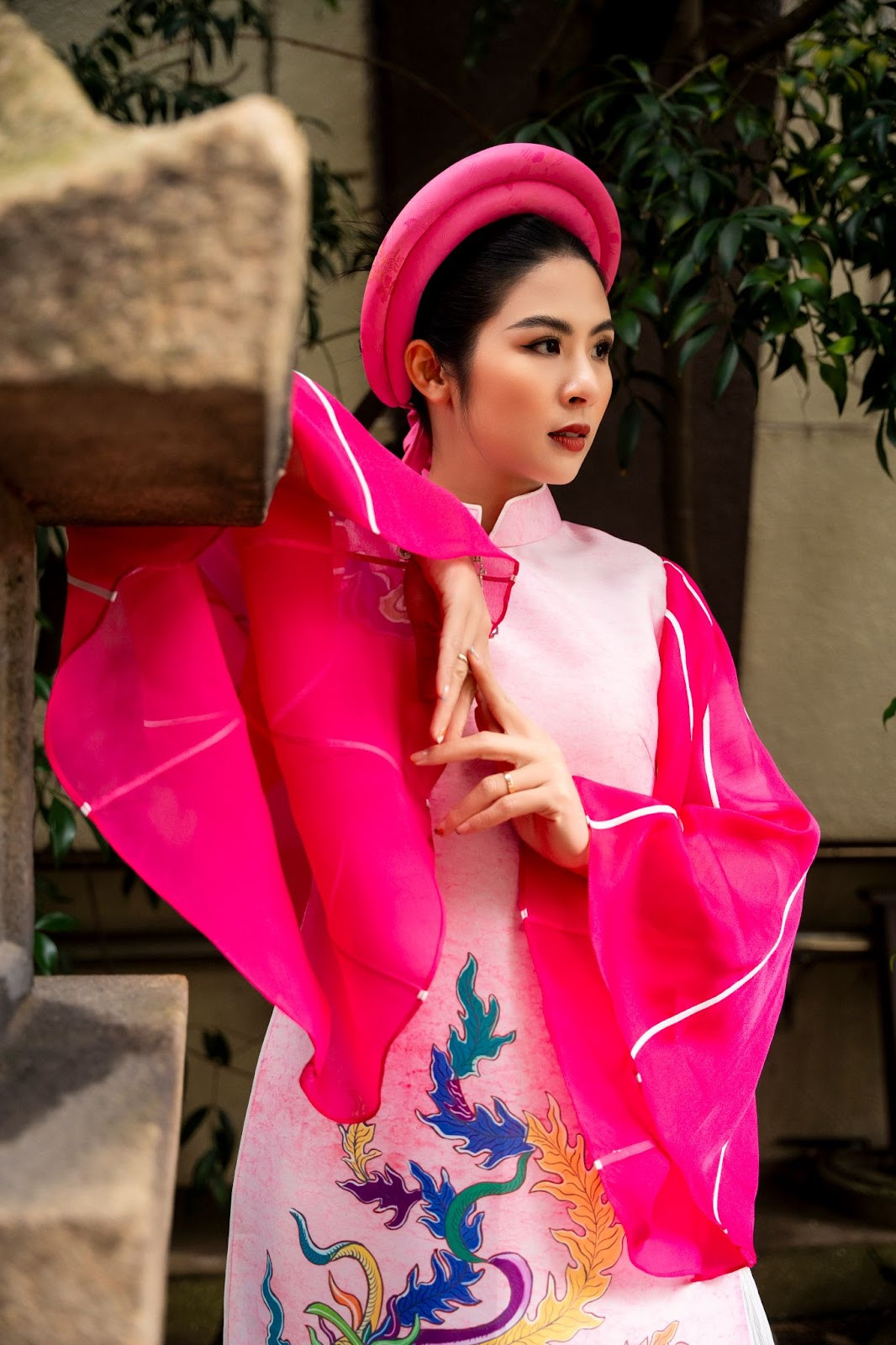 Hình ảnh