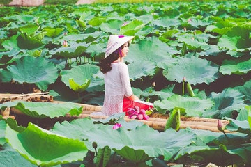 Lotus lake awakens hidden beauty in Quang Binh