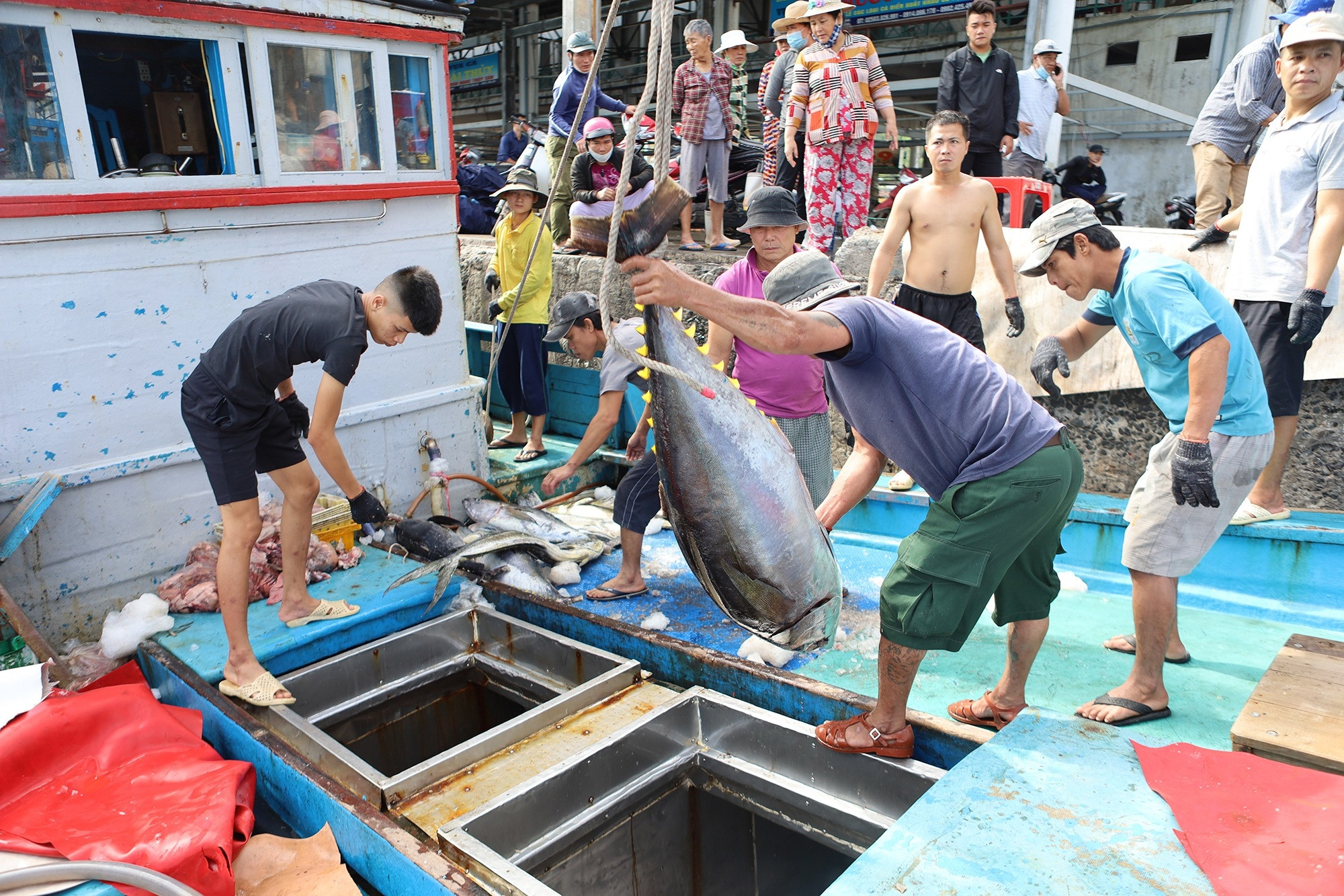 Triển khai phần mềm truy xuất nguồn gốc thủy sản, tháo gỡ 'thẻ vàng' IUU