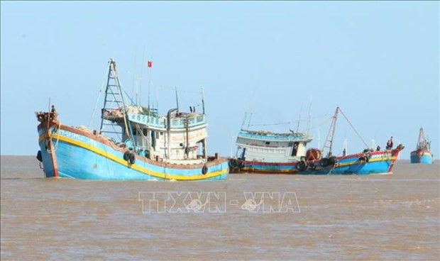 Southern localities take urgent action to fight IUU fishing hinh anh 1