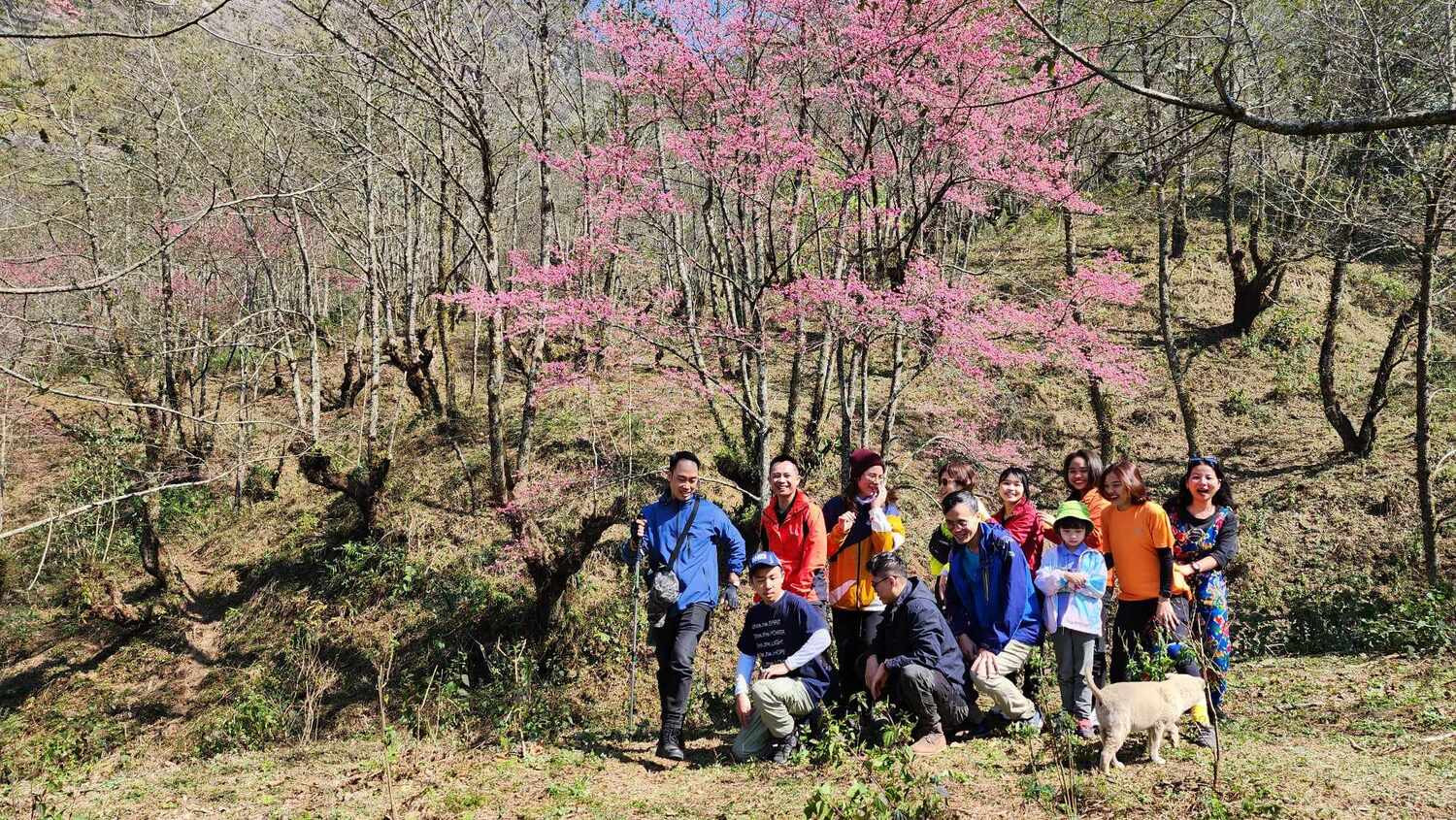 418581415 360370643626489 8843307141771159913 n.jpg