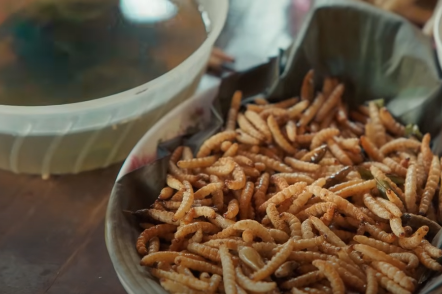 Australian man tries bamboo worms in northern mountainous province