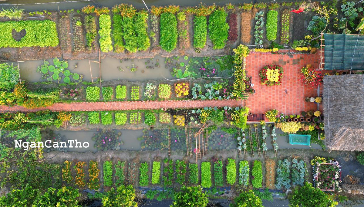 View - Khu vườn 1.500m2 đẹp như cổ tích của cô gái Cần Thơ, khách đến 'mê quên lối về'