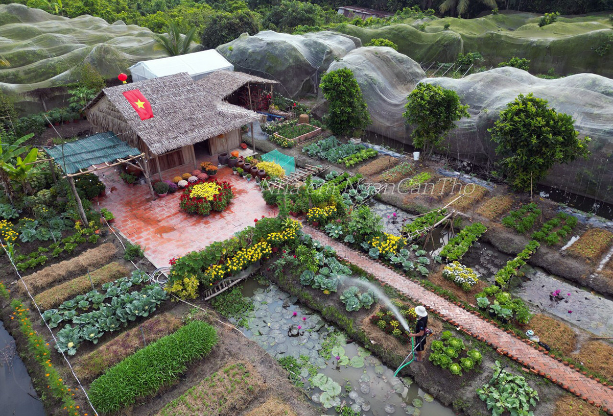 View - Khu vườn 1.500m2 đẹp như cổ tích của cô gái Cần Thơ, khách đến 'mê quên lối về'