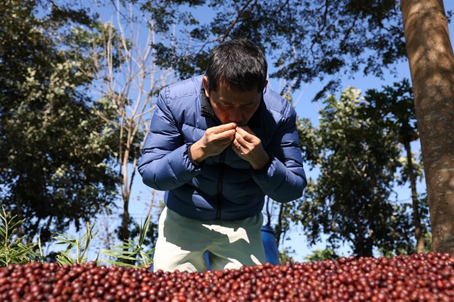 Efforts to turn Buon Ma Thuot into global hub for specialty coffees