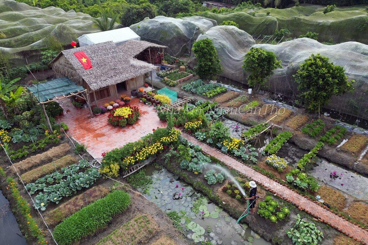 Cô gái Cần Thơ dựng khu vườn 1500m2 như cổ tích, khách đến 'mê quên lối về'