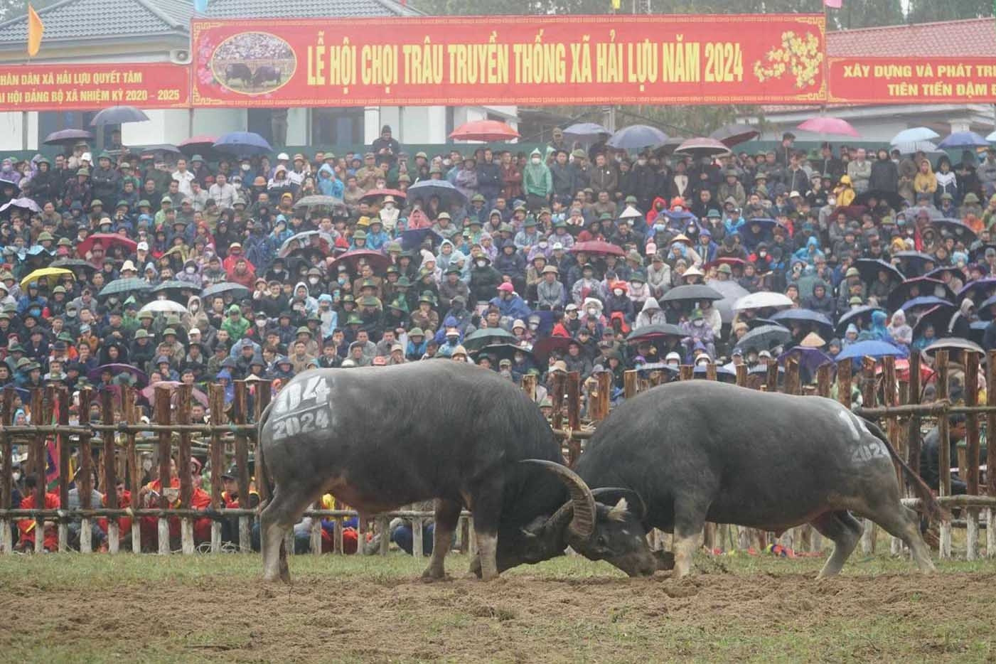 Người dân đội mưa theo dõi màn đấu đầy kịch tính của các 'ông Cầu'