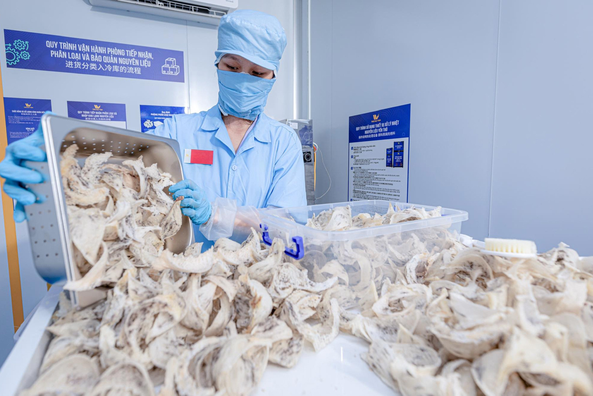 An Giang hoàn thiện kho dữ liệu ngành chăn nuôi, hỗ trợ dự báo thị trường