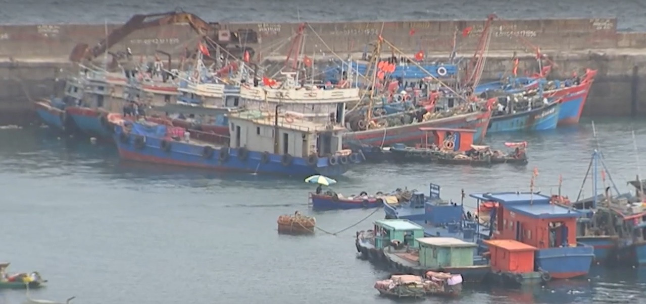 bien dao bach long vi.jpg