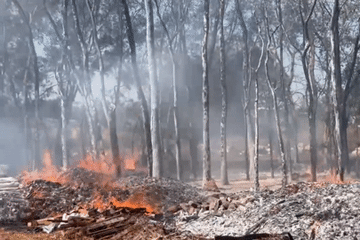 Hỏa hoạn thiêu rụi nhiều diện tích cây trồng ở Đồng Nai