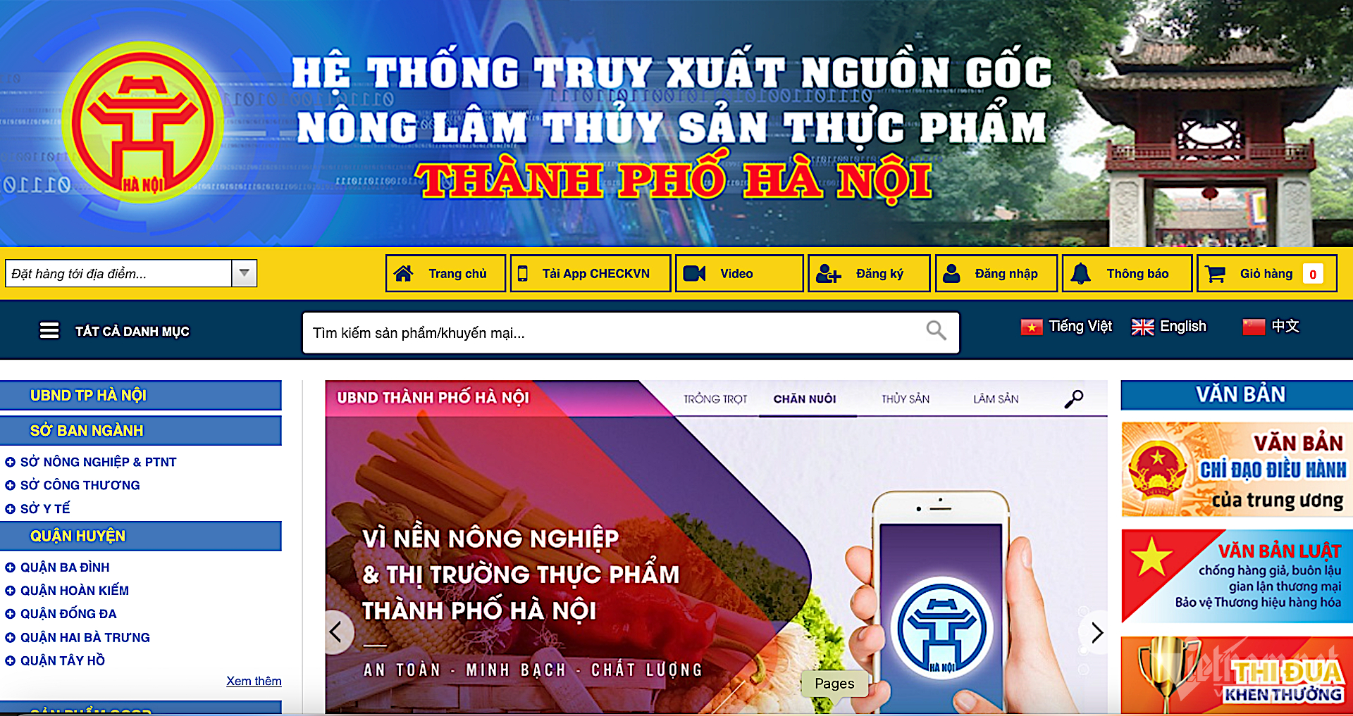 W-anhminhhoa-4.png