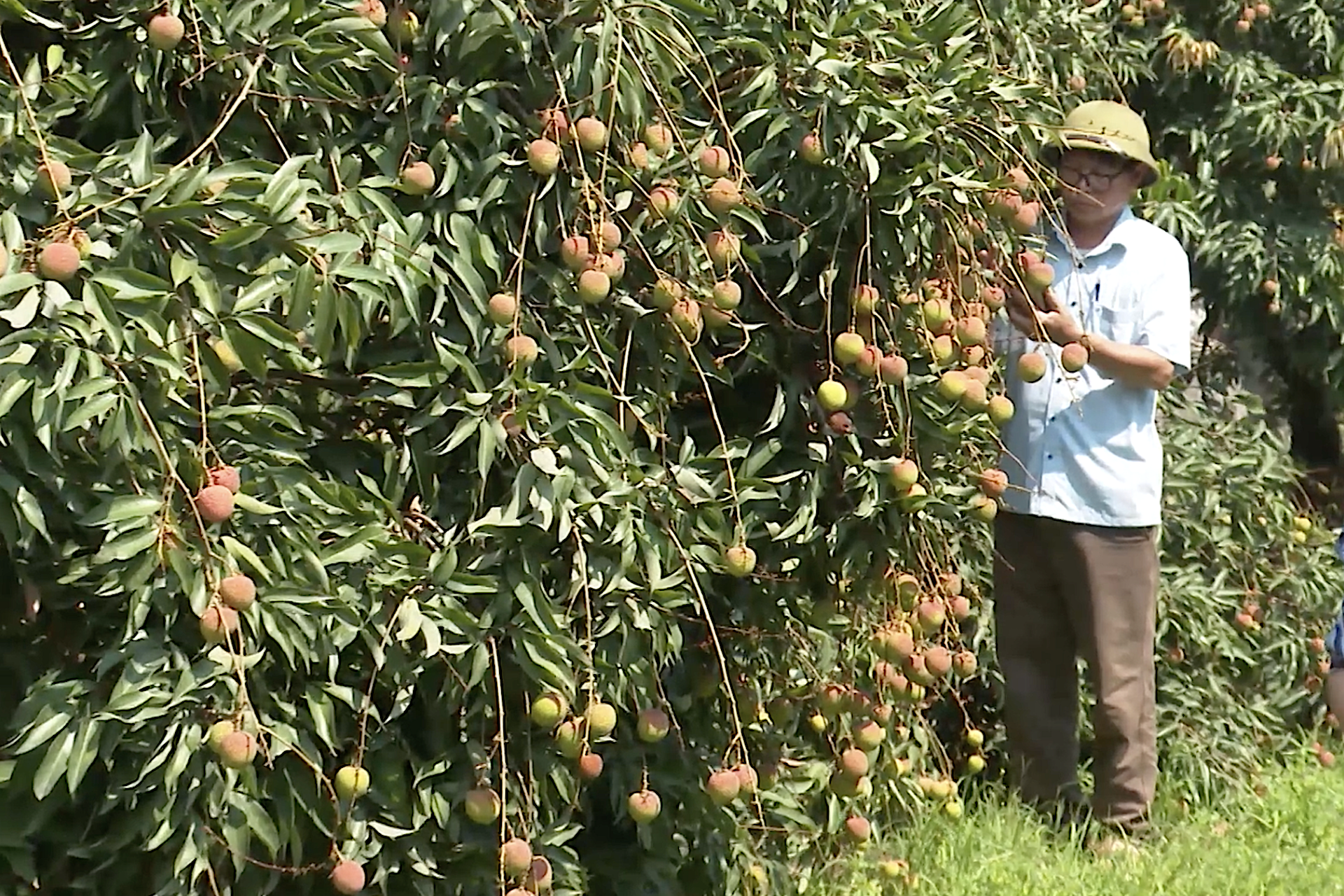 Bước tiến quan trọng trong xây dựng các nền tảng dữ liệu số nông nghiệp