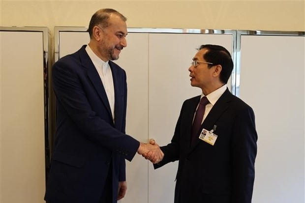 VN Foreign Minister meets leaders of UN, countries in Geneva