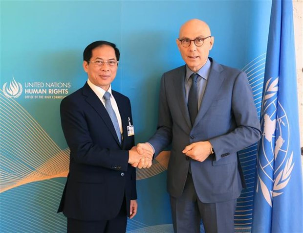 FM meets UN High Commissioner for Human Rights, foreign officials in Geneva hinh anh 1