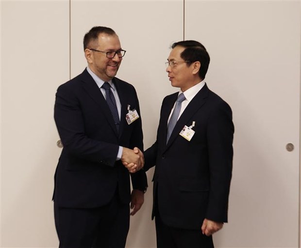 FM meets UN High Commissioner for Human Rights, foreign officials in Geneva hinh anh 2