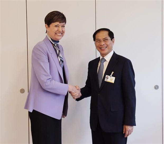 FM meets UN High Commissioner for Human Rights, foreign officials in Geneva hinh anh 3