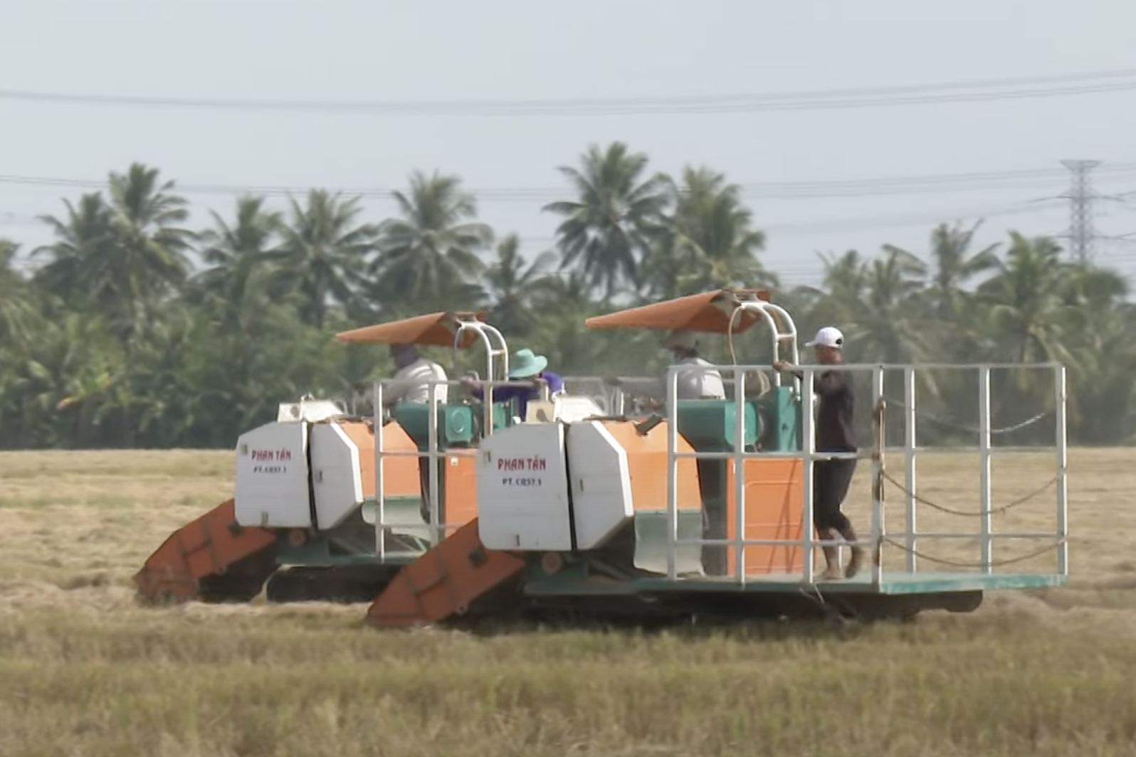 Sóc Trăng: Áp dụng mô hình nông nghiệp tuần hoàn ở vùng dân tộc thiểu số