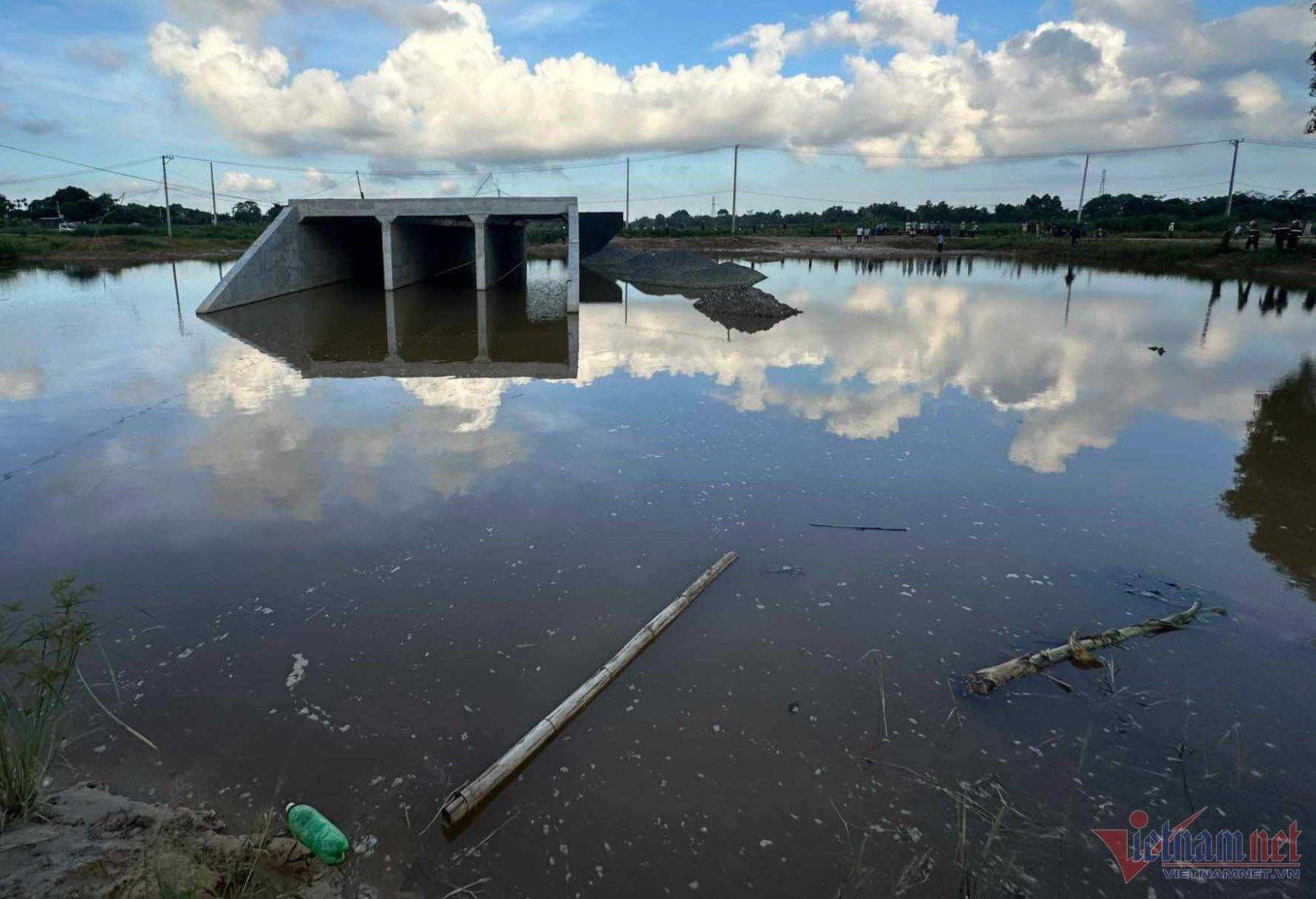 1ecd5b7c 9357 49c5 bf98 a74763fa9ca1.jpeg