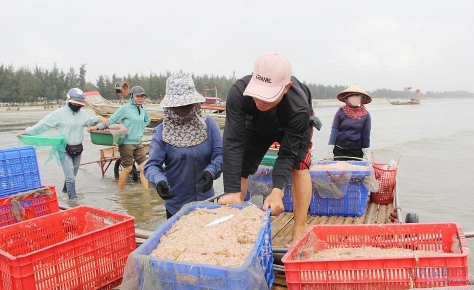 anh bai 1.jpg