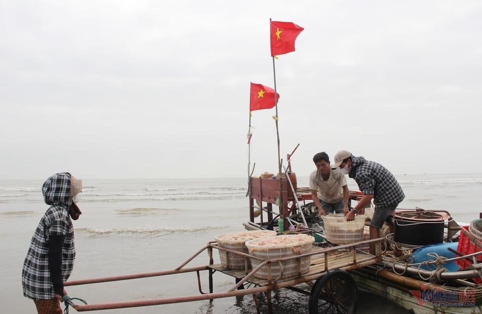 anh bai 5.jpg