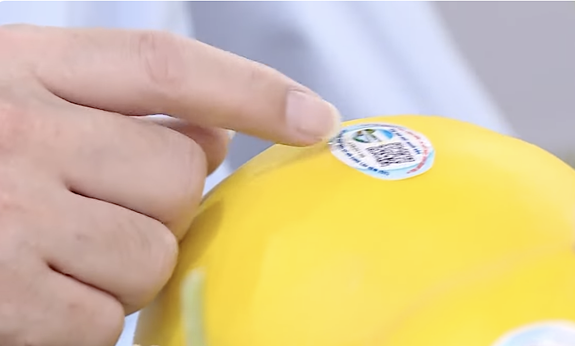 Thị trường nông sản: Từng bước hình thành kho dữ liệu chung