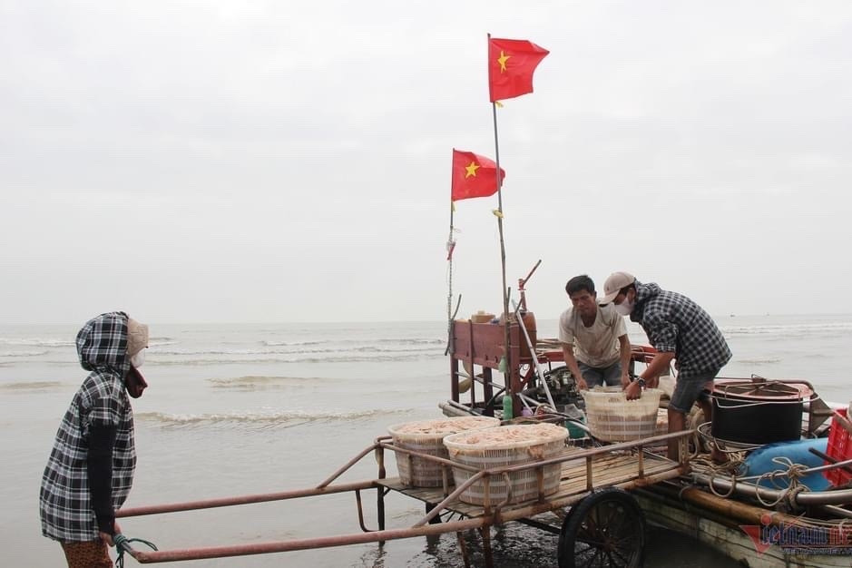 Cần đa dạng hóa ngành nghề sinh kế để tránh tình trạng khai thác cạn kiệt