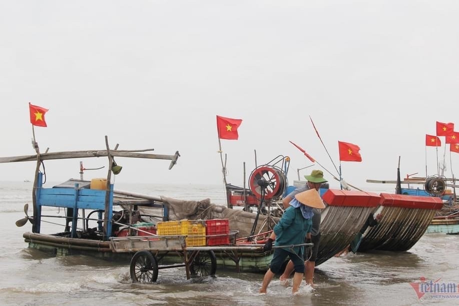 Cần quản lý tàu cá hiệu quả ngay tại cảng để phát triển bền vững