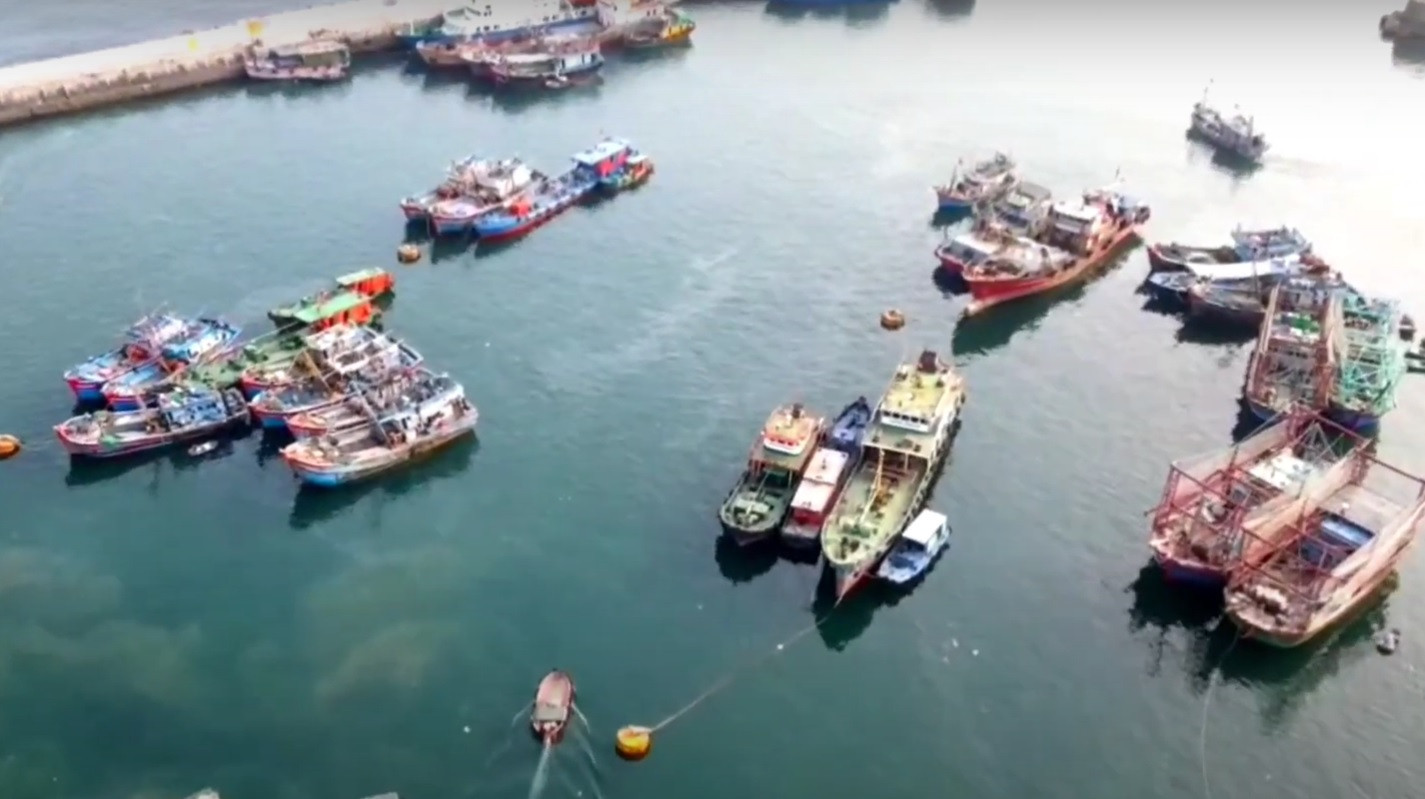 dao bach long vi.jpg