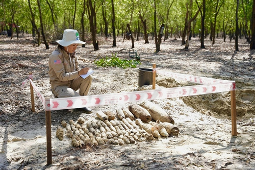 Explosives remain in 5.6 million hectares in Vietnam