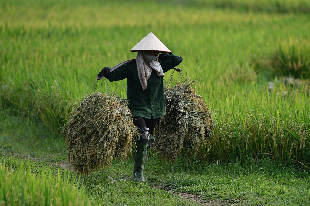 green agri.jpg