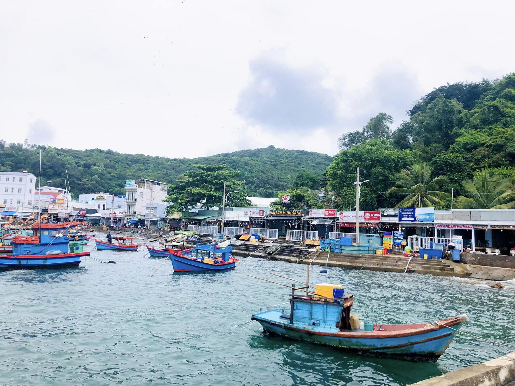 kinh te bien hoang mai.jpg