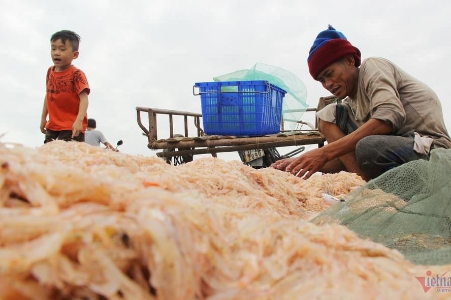 Ngư dân Bích Đầm nên chuyển hướng phát triển du lịch