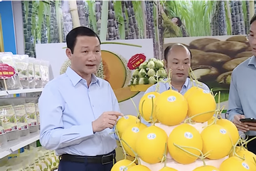 Thanh Hoá định hướng cho người dân phát triển sản xuất nhờ chú trọng dự báo thị trường
