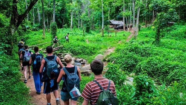 Vietnam advised to promote development of forest-based ecotourism hinh anh 1