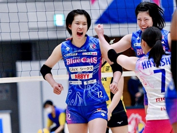 Vietnamese volleyballer receives offers to play in Europe hinh anh 1