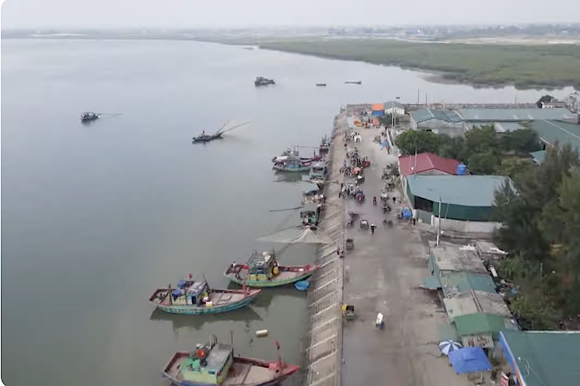 Gỡ “thẻ vàng” IUU là vấn đề quan trọng được cả hệ thống chính trị tham gia