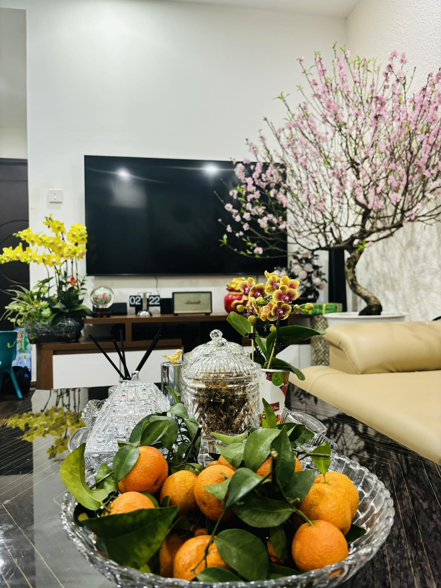 417358297 884405993480509 500683521709312820 n.jpg