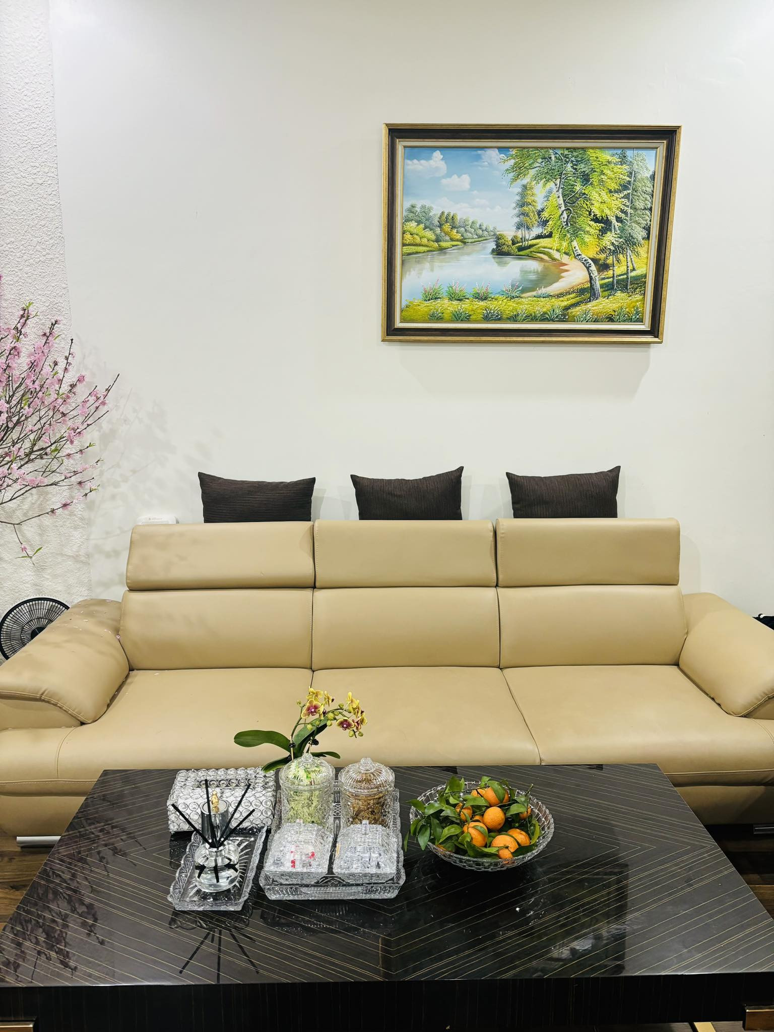 417446487 1767745706971344 3312729286835820187 n.jpg