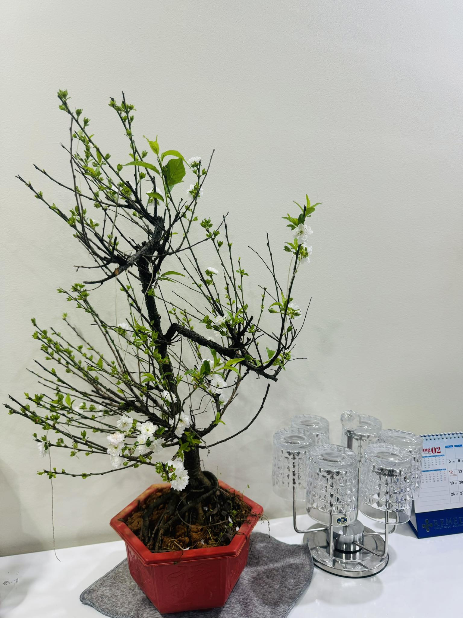 417459558 402693225565909 194146447290958871 n.jpg