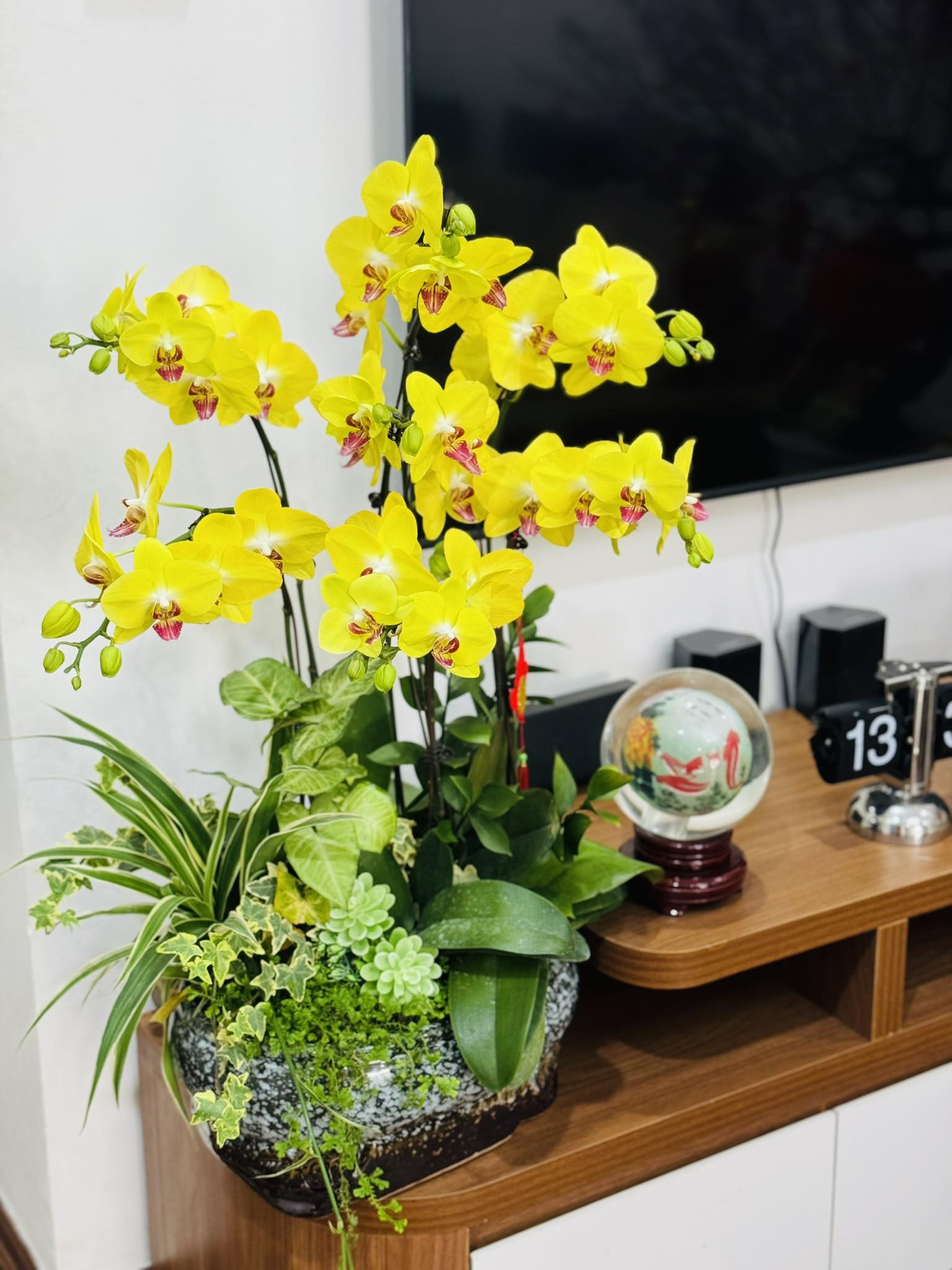 417556525 7188415257904325 128573828150165726 n.jpg