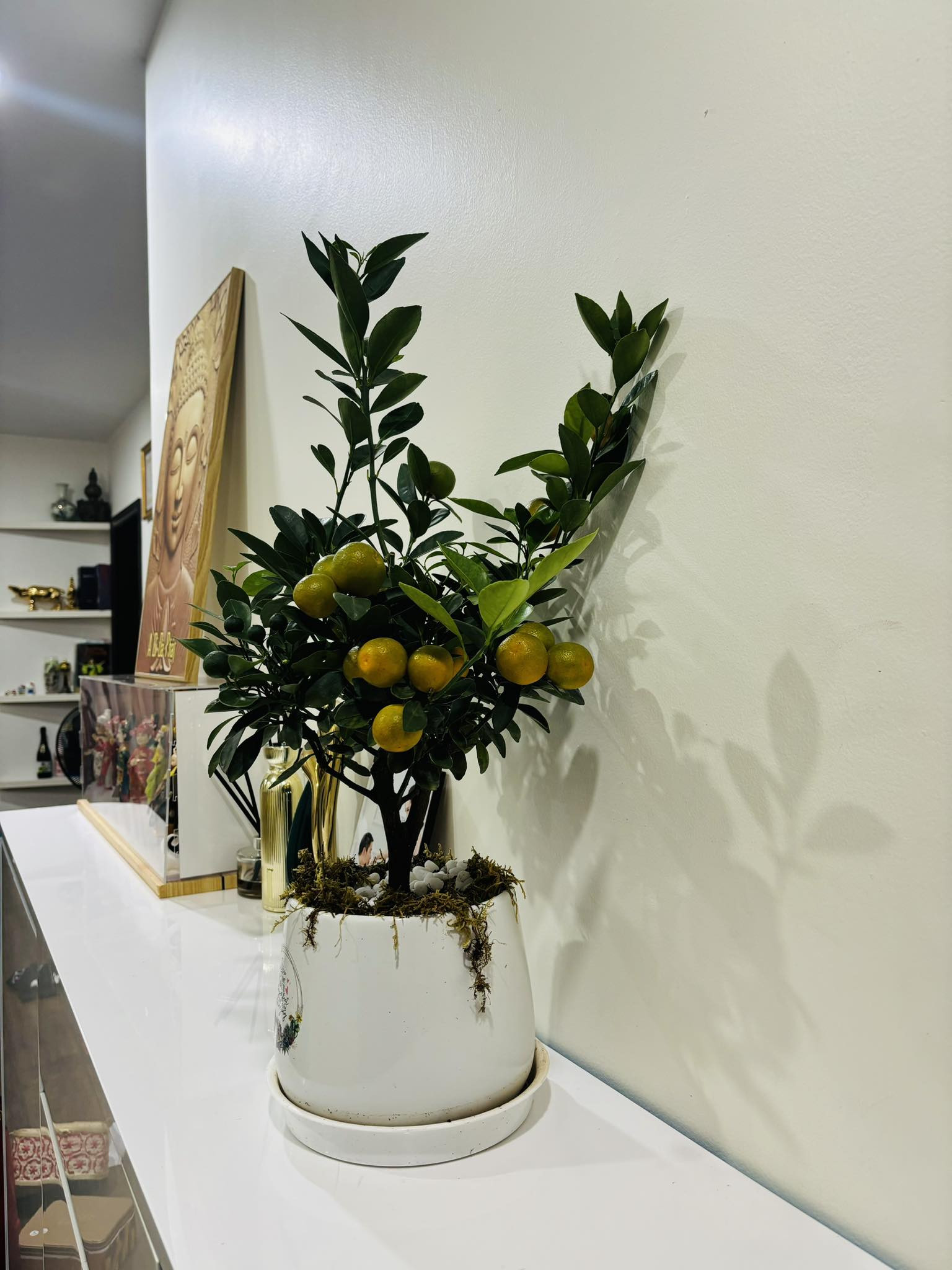 417569789 1075156233795791 69616666355081149 n.jpg