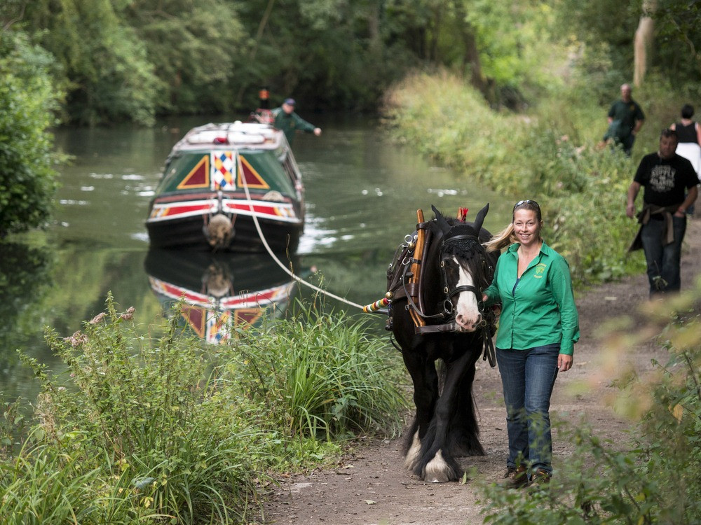 horse drawn boats 36.jpg