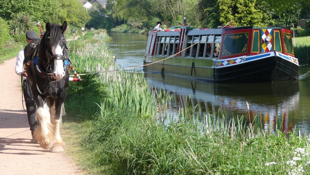 horse drawn boats 82.jpg