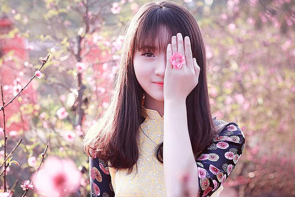 Lời chúc Tết bạn bè vui vẻ, ý nghĩa nhất năm Giáp Thìn 2024