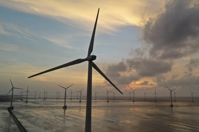 Electricity shortage anticipated, offshore power capacity still limited