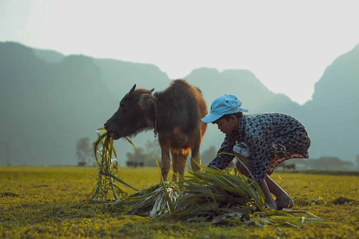 Những con số ấn tượng về làng du lịch tốt nhất thế giới nơi rốn lũ Tân Hoá