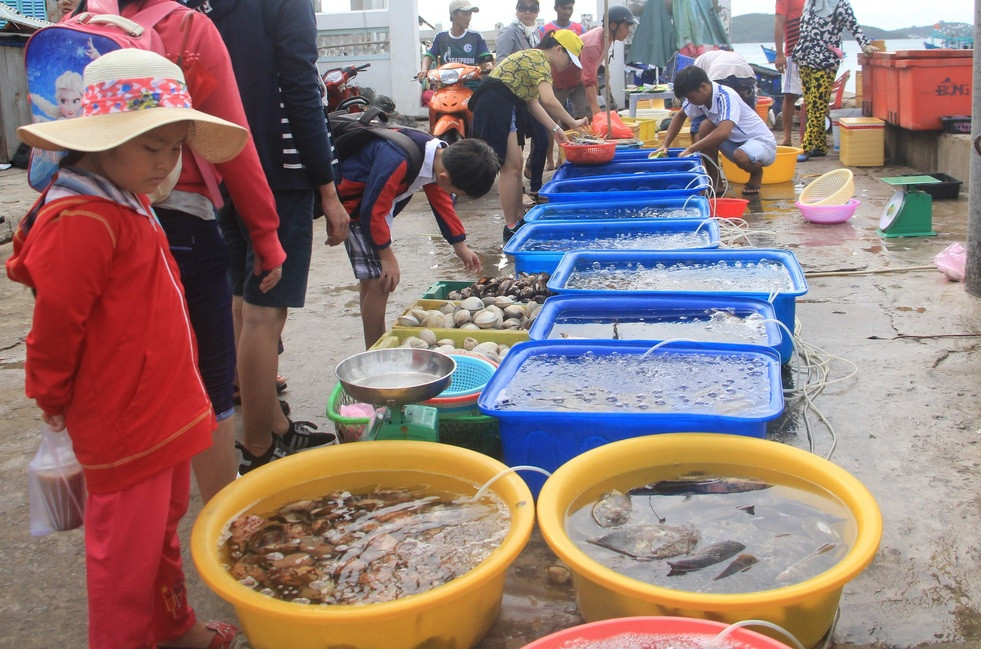 nuoi bien nam du 1.jpg