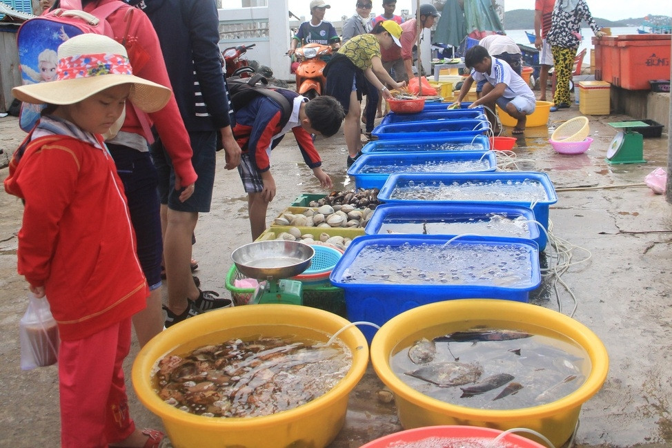 Nuôi biển Việt Nam cần tiến ra khơi xa