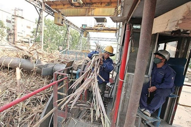 Sugar companies flourish with strong business performance in 2023 hinh anh 1