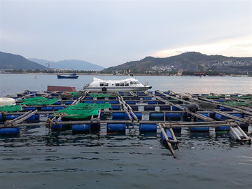 Khanh Hoa seeks green light for $41.1m high-tech marine farming